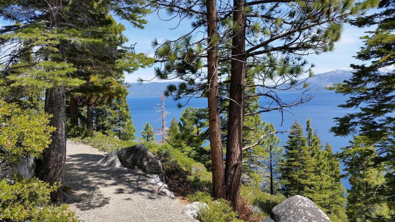 Marriott Grand Res Q4 #4256 Apartamento South Lake Tahoe Exterior foto