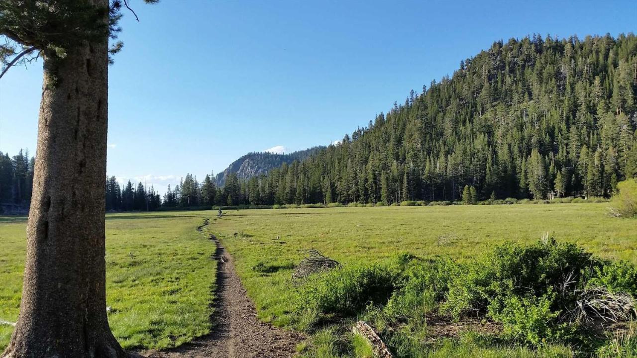 Marriott Grand Res Q4 #4256 Apartamento South Lake Tahoe Exterior foto